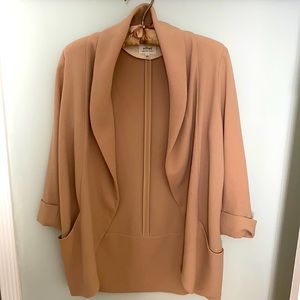 Aritzia Wilfred Chevalier Oversized Blazer size 2